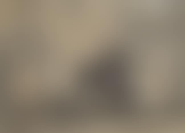 Steam Train, C (preview)