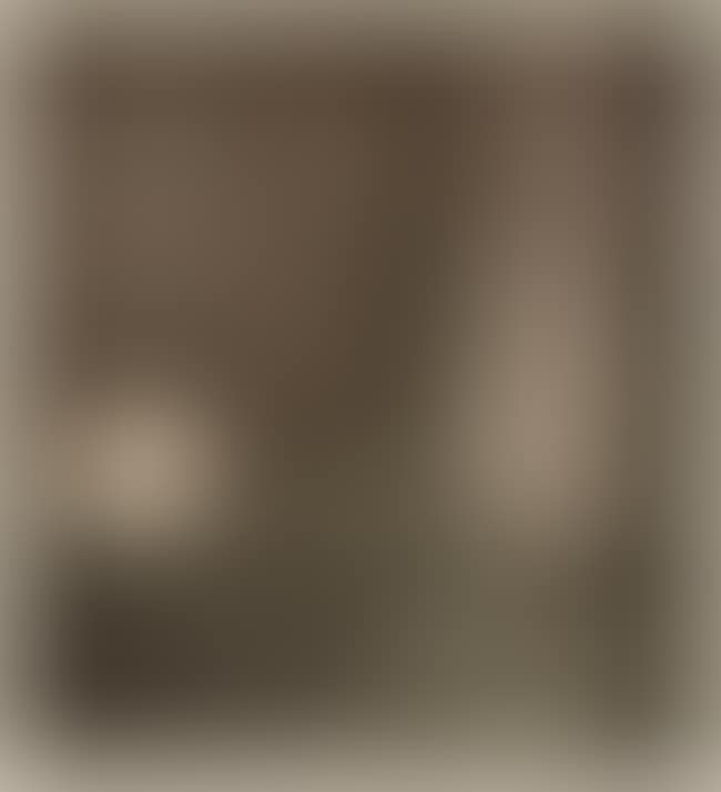 The Ancestor (preview)