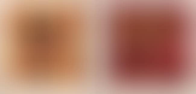 Tony Shafrazi Gallery Exhibition Catalogue (preview)