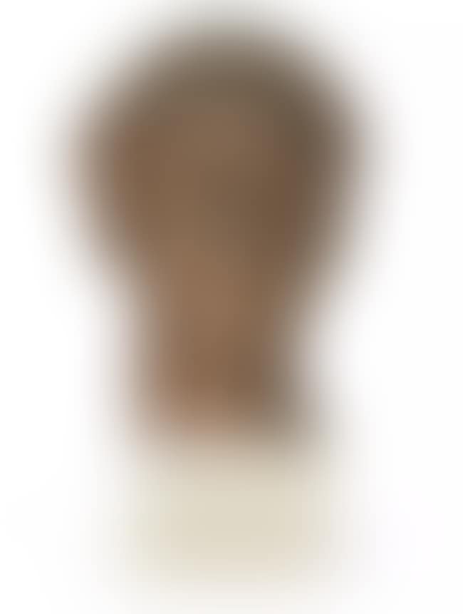 Portrait Head (preview)