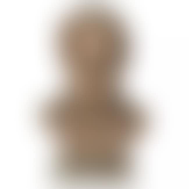 Male portrait bust (preview)