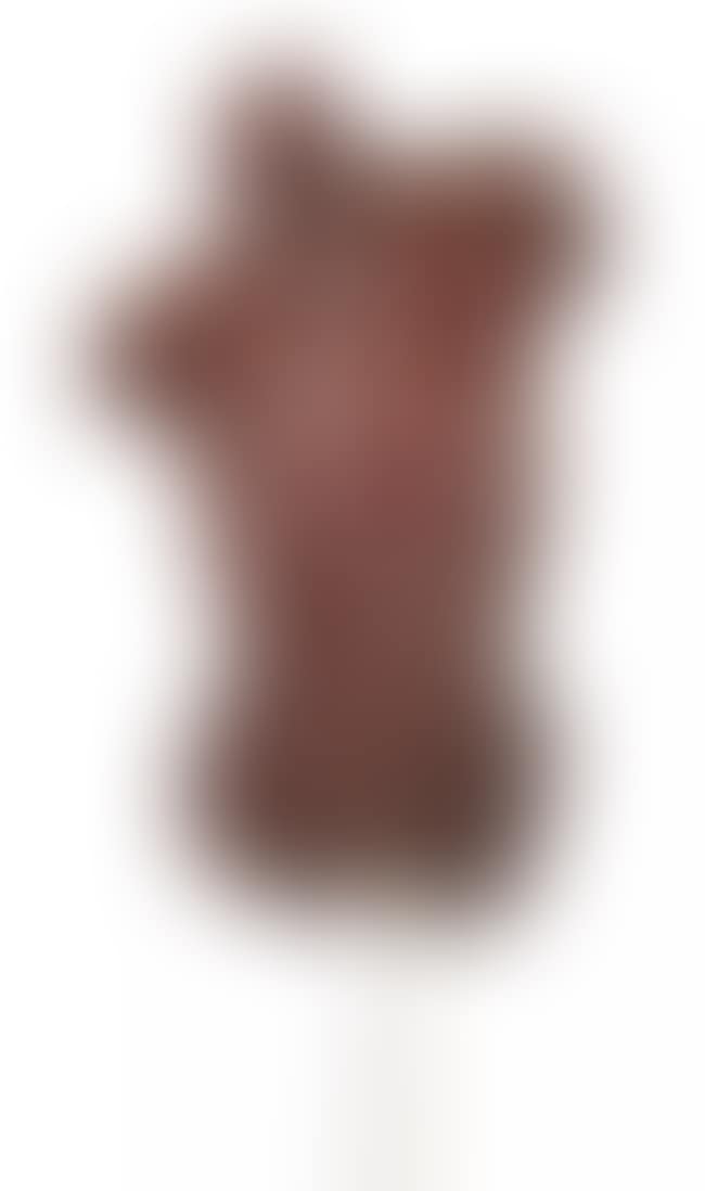 Male Torso (preview)