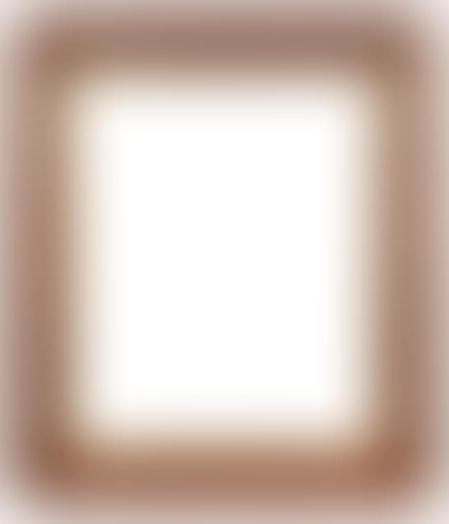 A French Mahogany Moulding Frame with Gilded Slip (preview)
