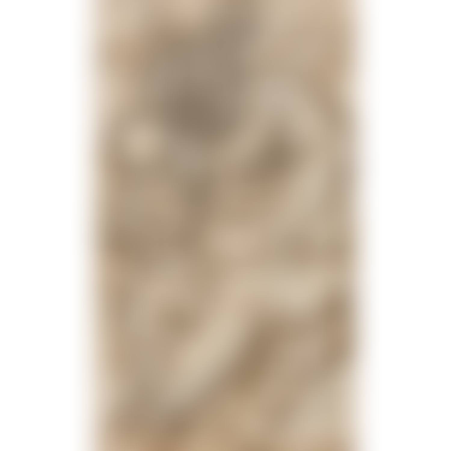 PETIT BACCHUS IVRE; Young drunken Bacchus (preview)