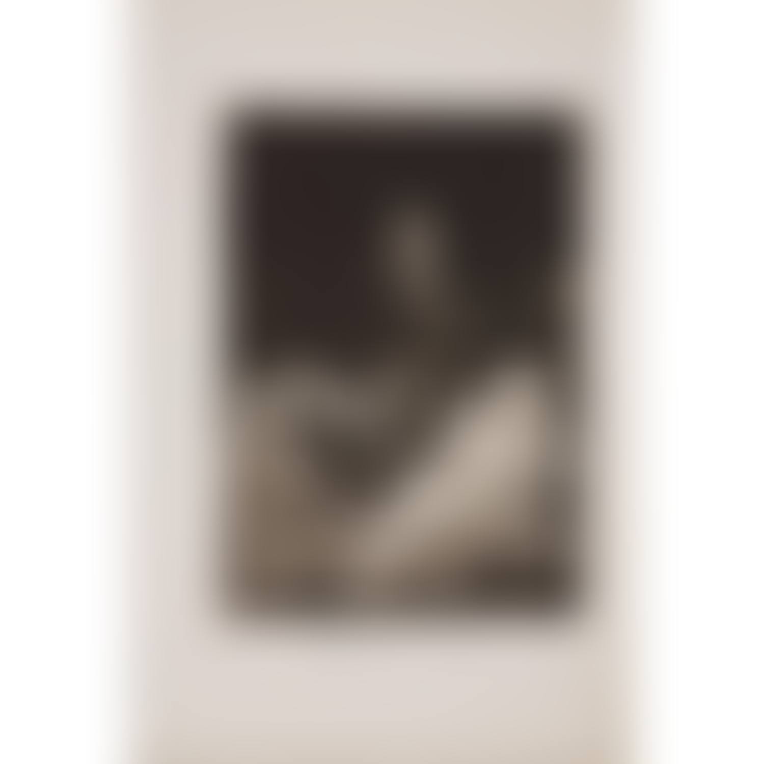  SERIES OF CAPRICES, PLATE 53, WHAT A GOLDEN PEAK! (preview)