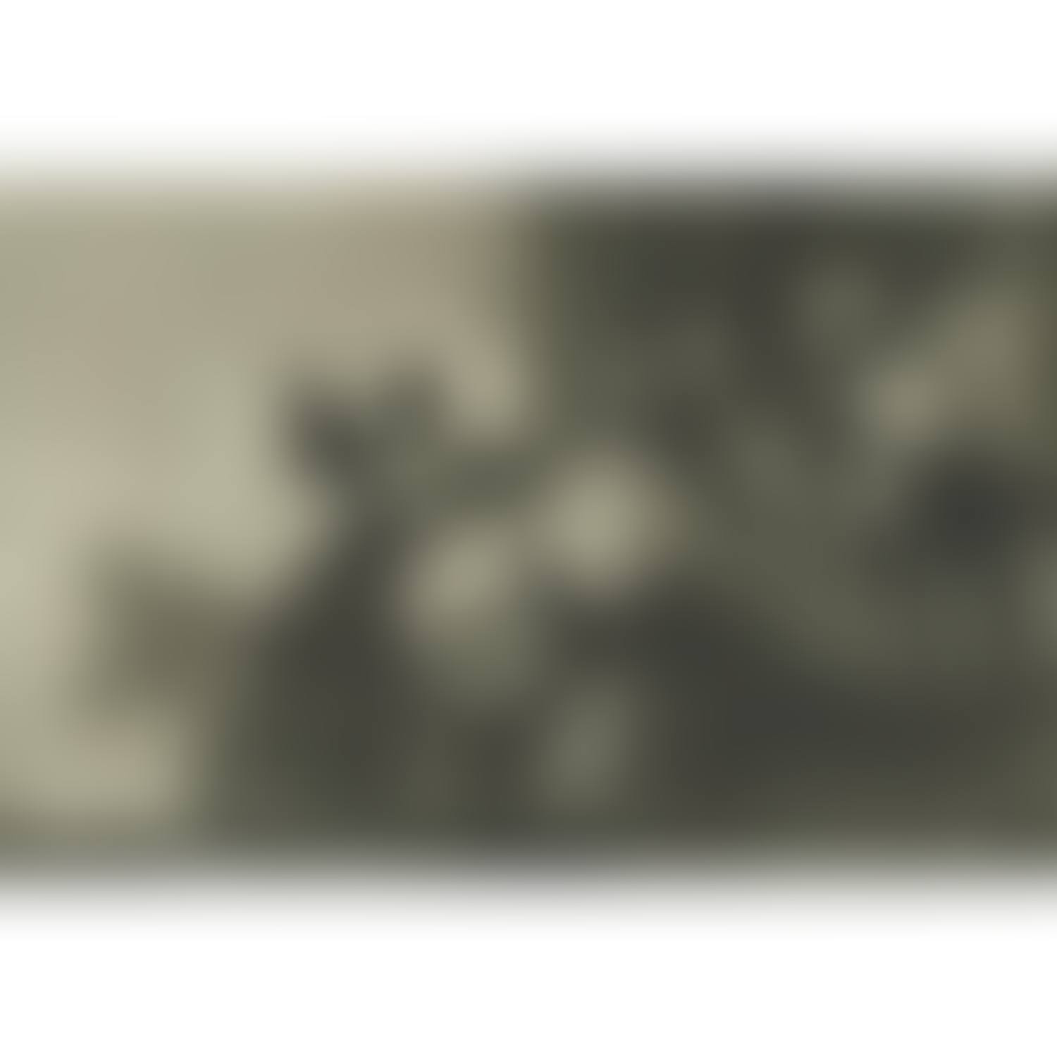 DISPARATE POBRE, Plate 11 from the PROVERBS series (preview)