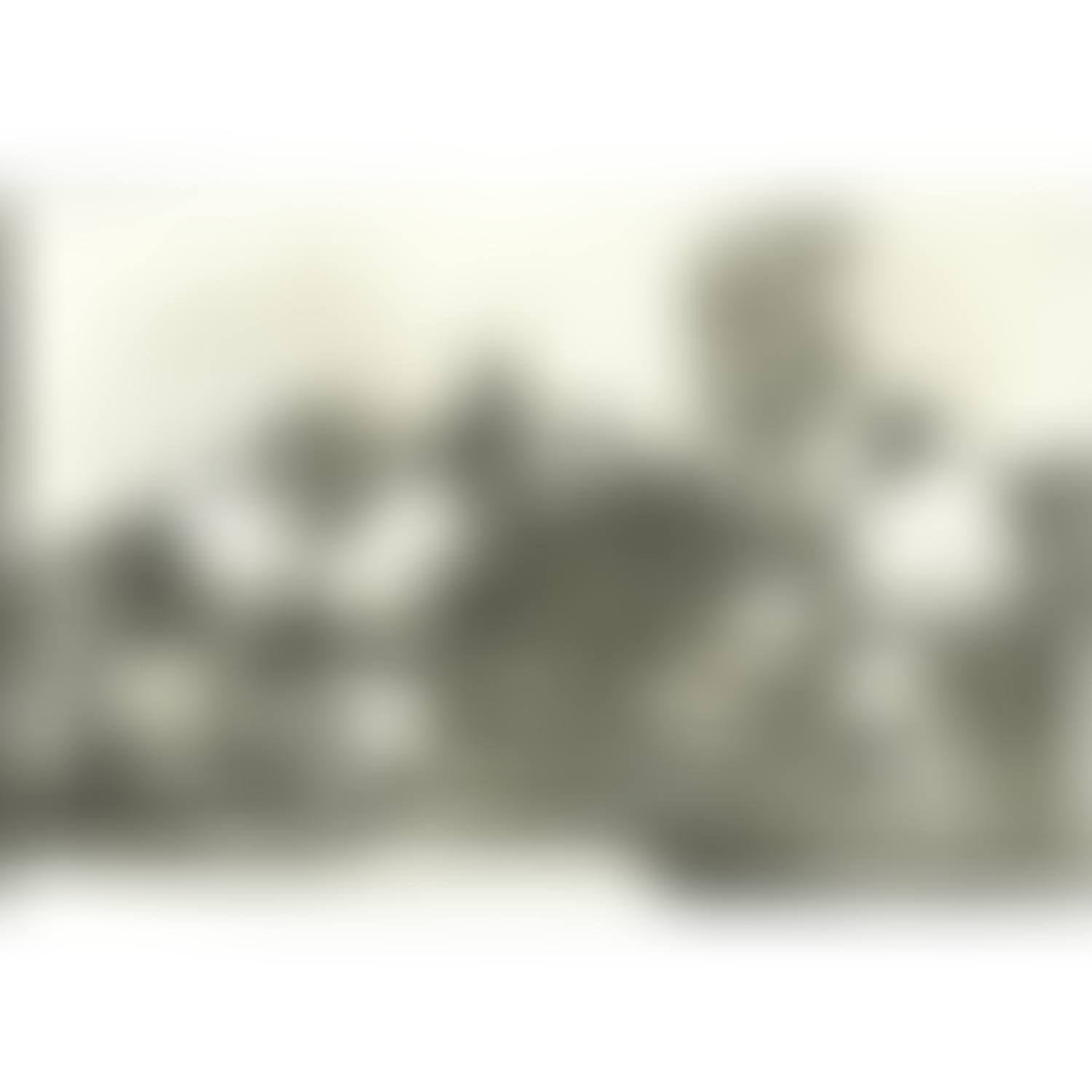 CARNIVAL DISPARATE. Plate 14 from the PROVERBS series (preview)