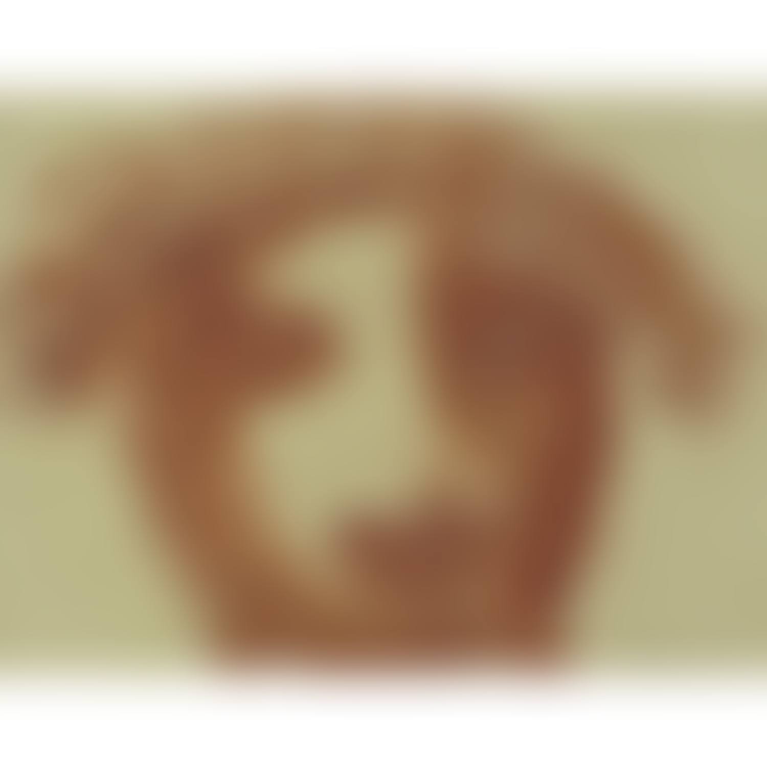 TÊTE TRAGIQUE DE FACE (preview)