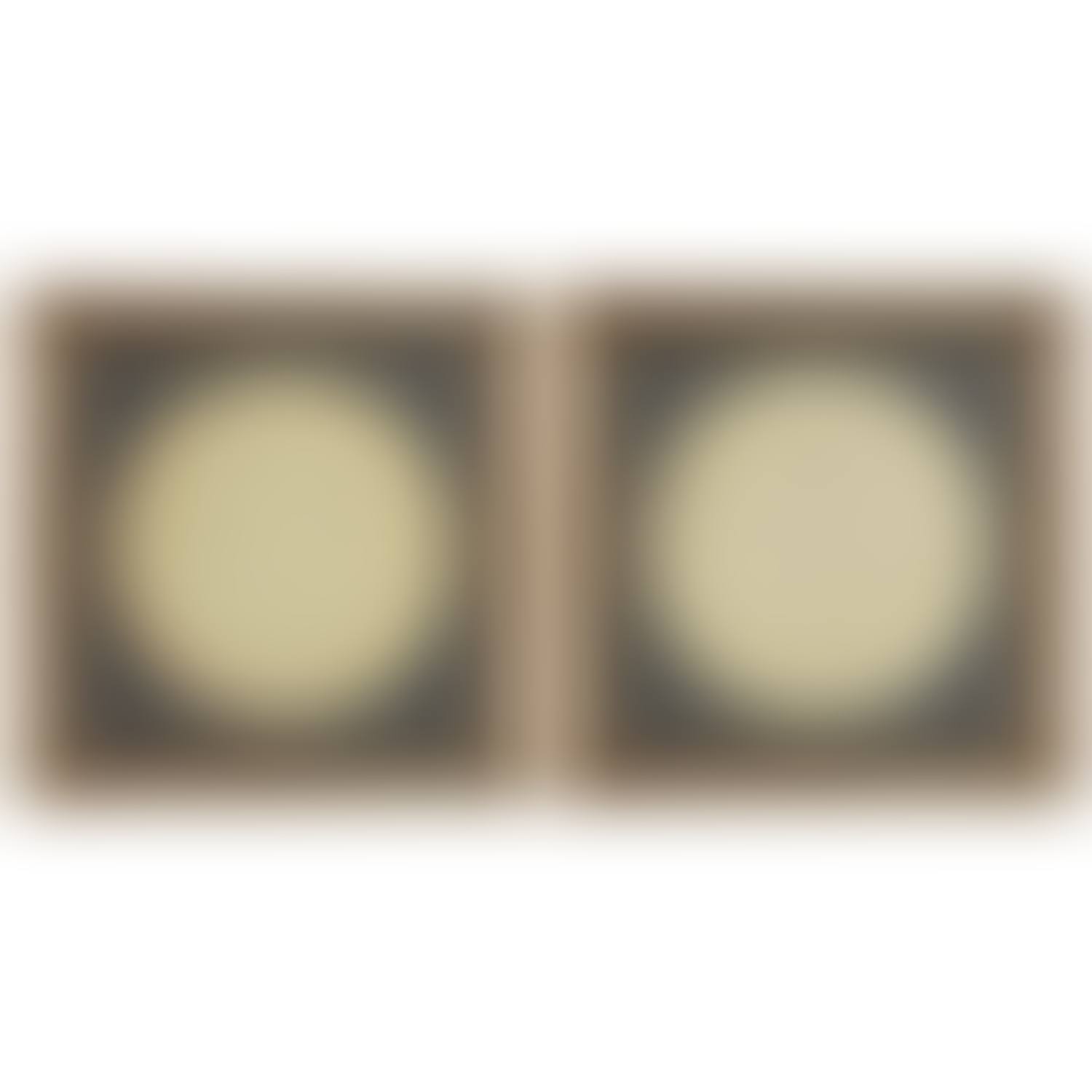 SUITE DE DEUX ASSIETTES DÉCORÉES (preview)