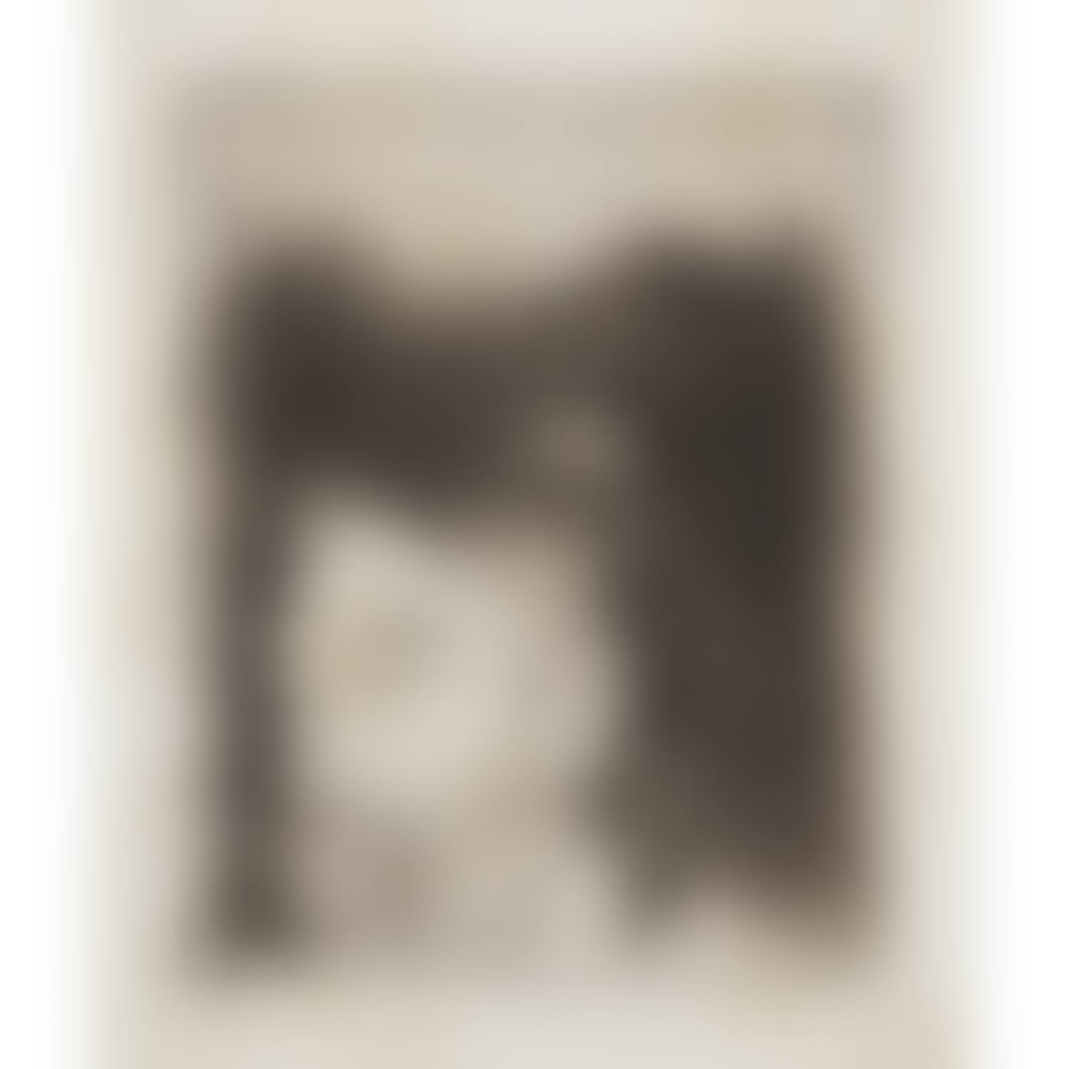 PORTRAIT DE STÉPHANE MALLARMÉ (preview)