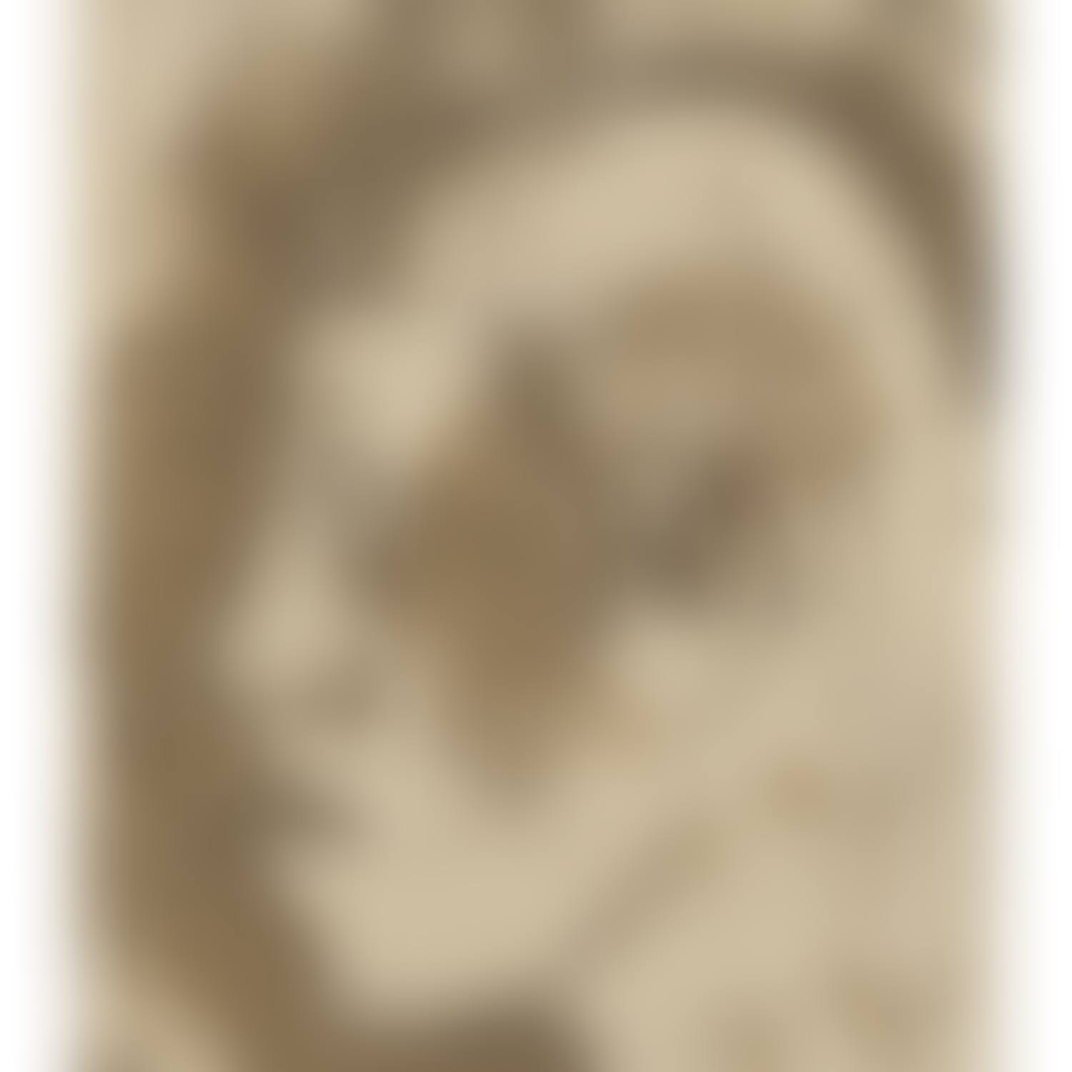 TÊTE DE FILLES DES ÎLES MARQUISES (recto-verso) (preview)