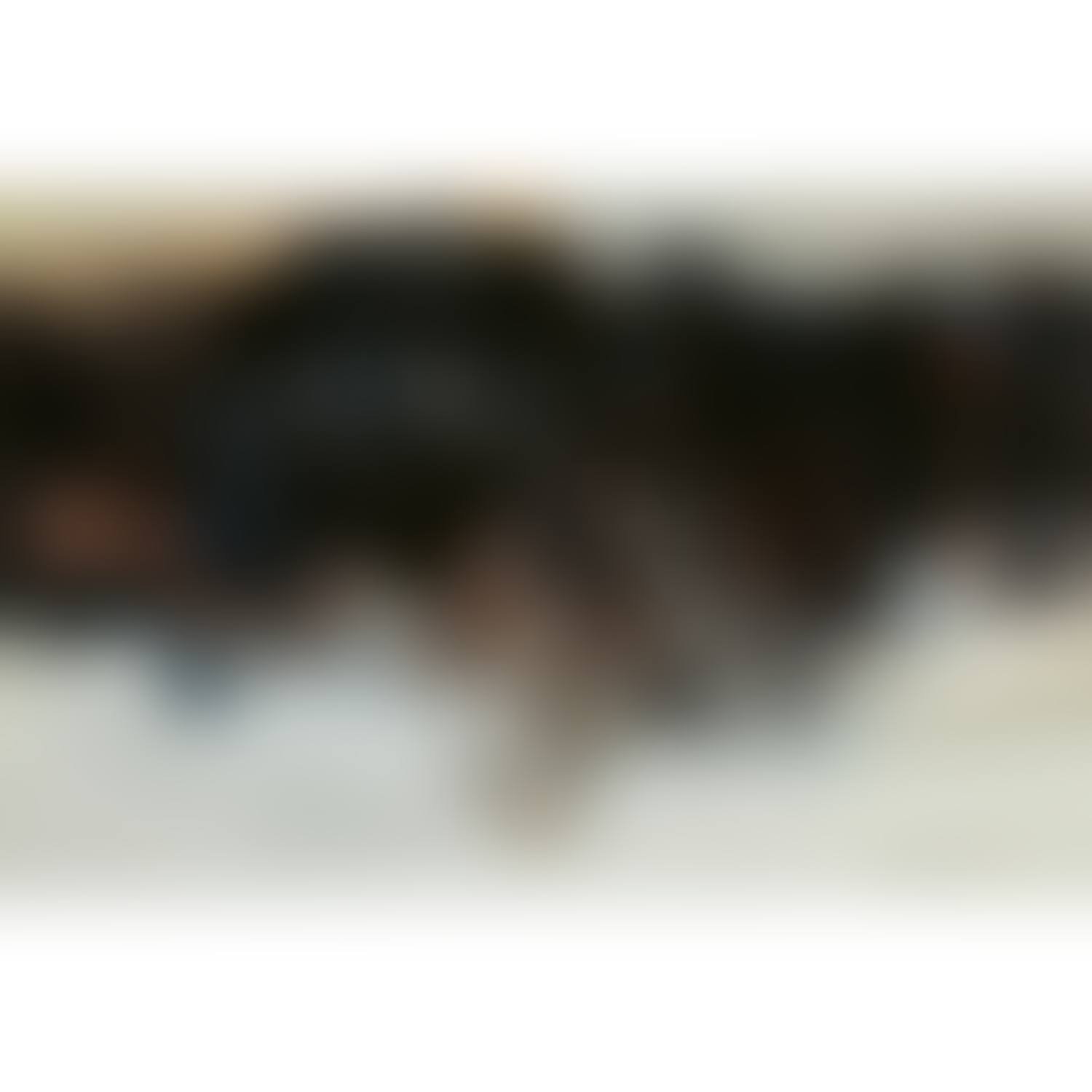 SANS TITRE (preview)