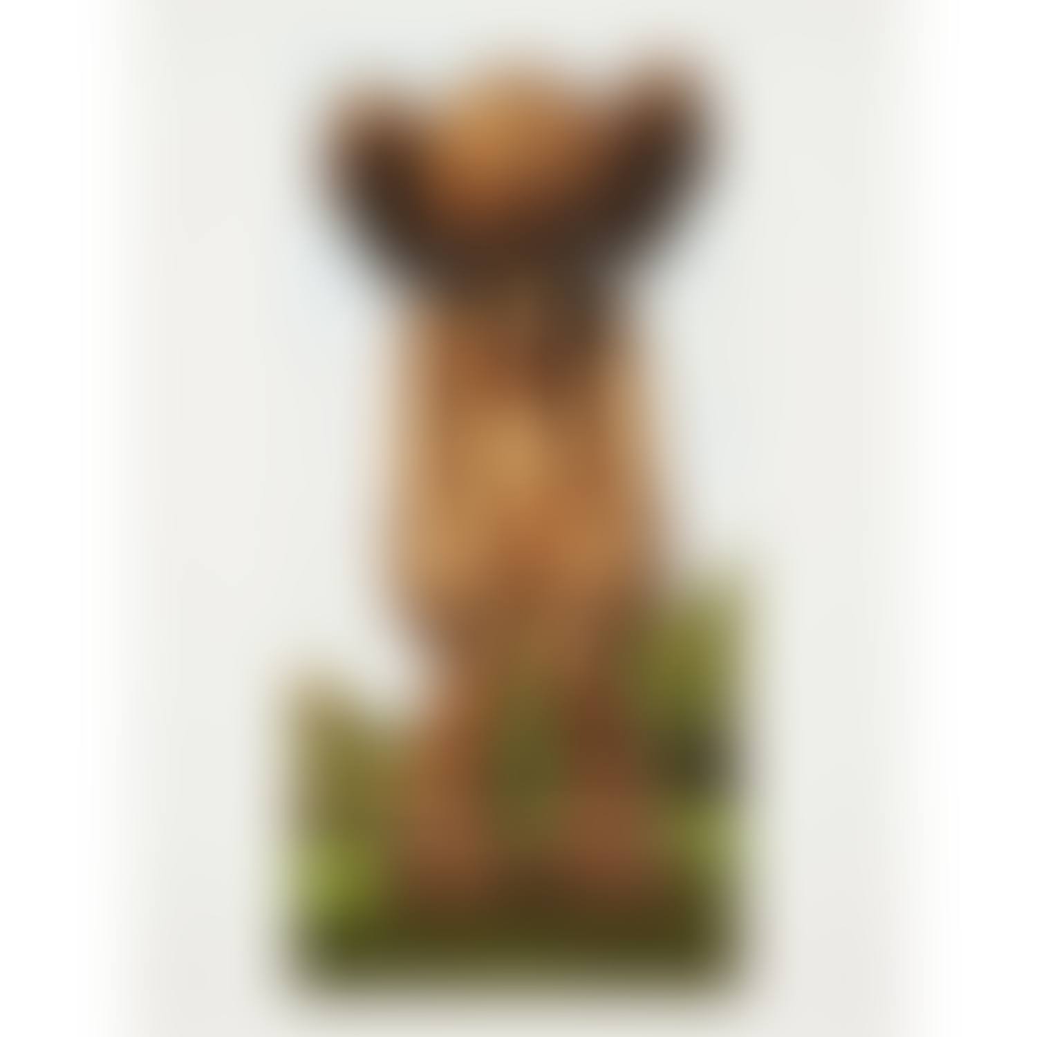 Sans titre (preview)