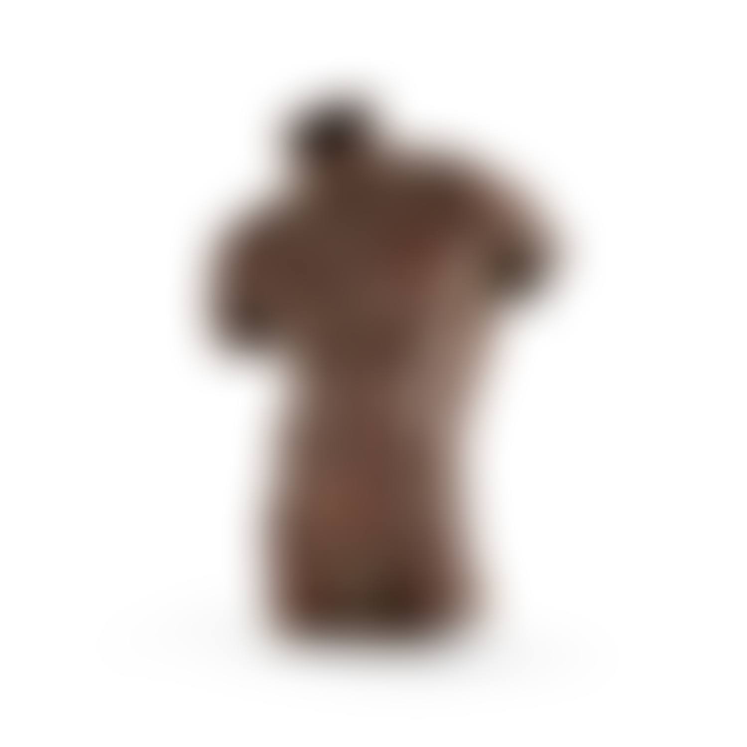 Torse (preview)