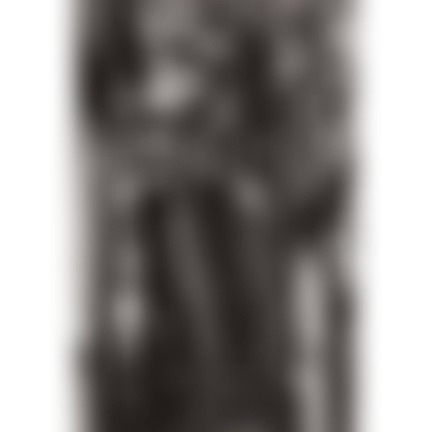 Alberto Giacometti, rue Hippolyte Maindron (preview)