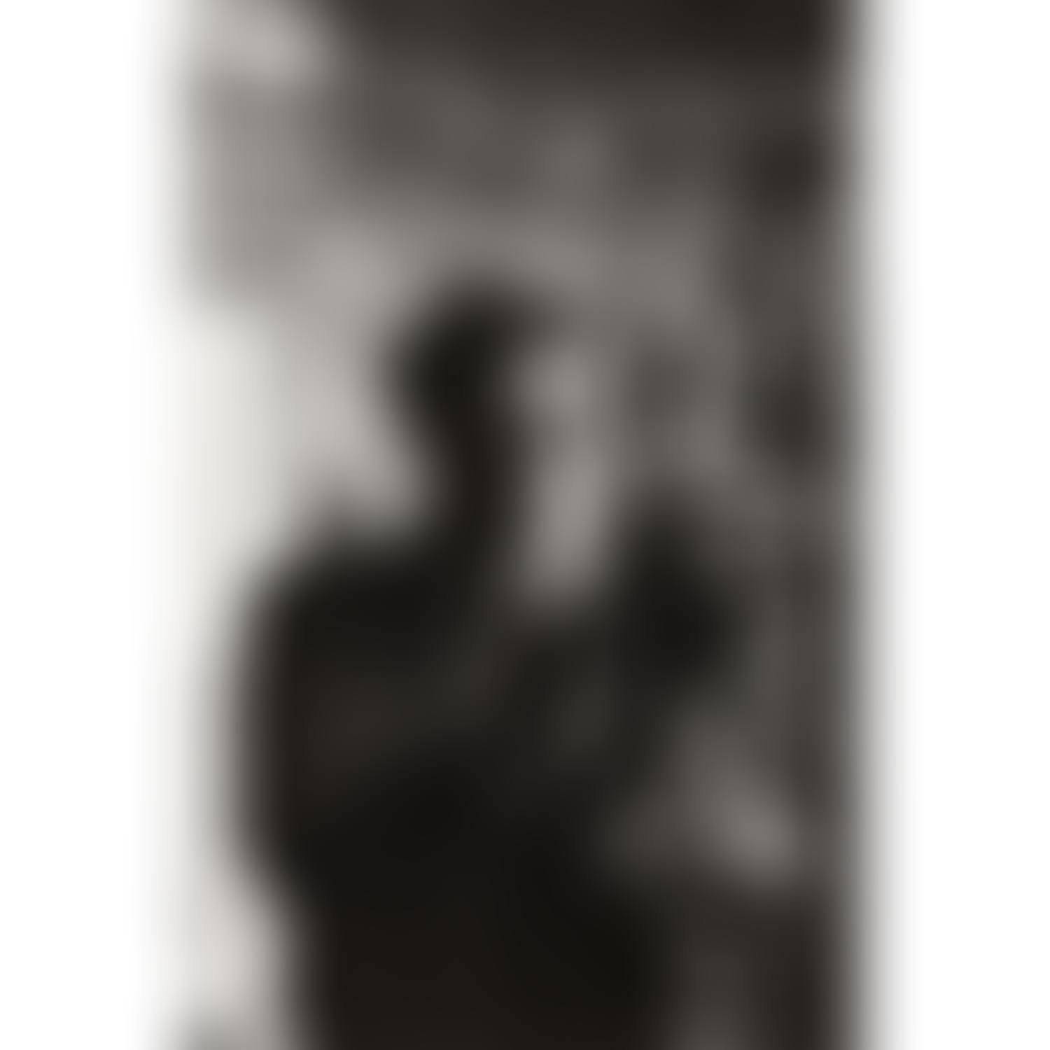 ALBERTO GIACOMETTI DANS SON ATELIER (preview)
