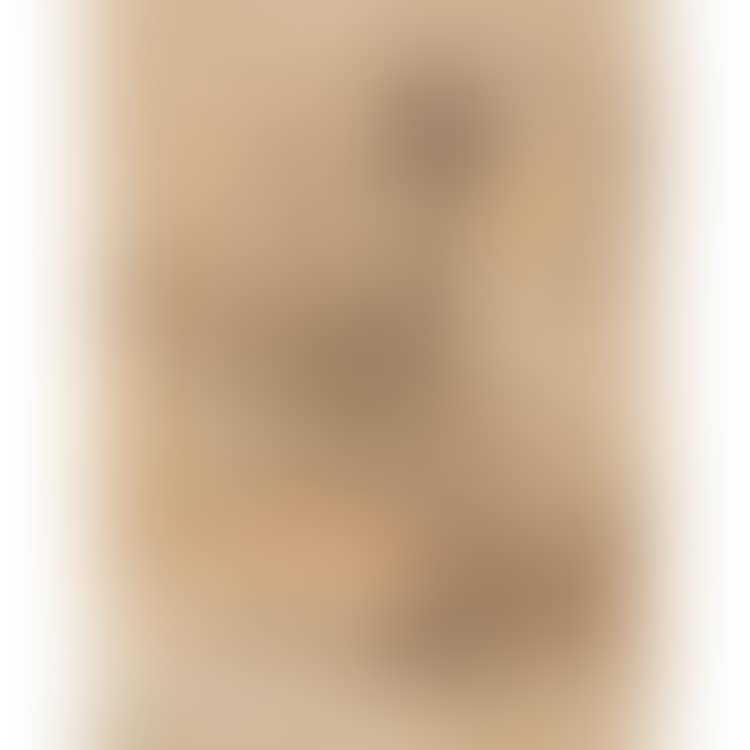 Study of a prophet (preview)