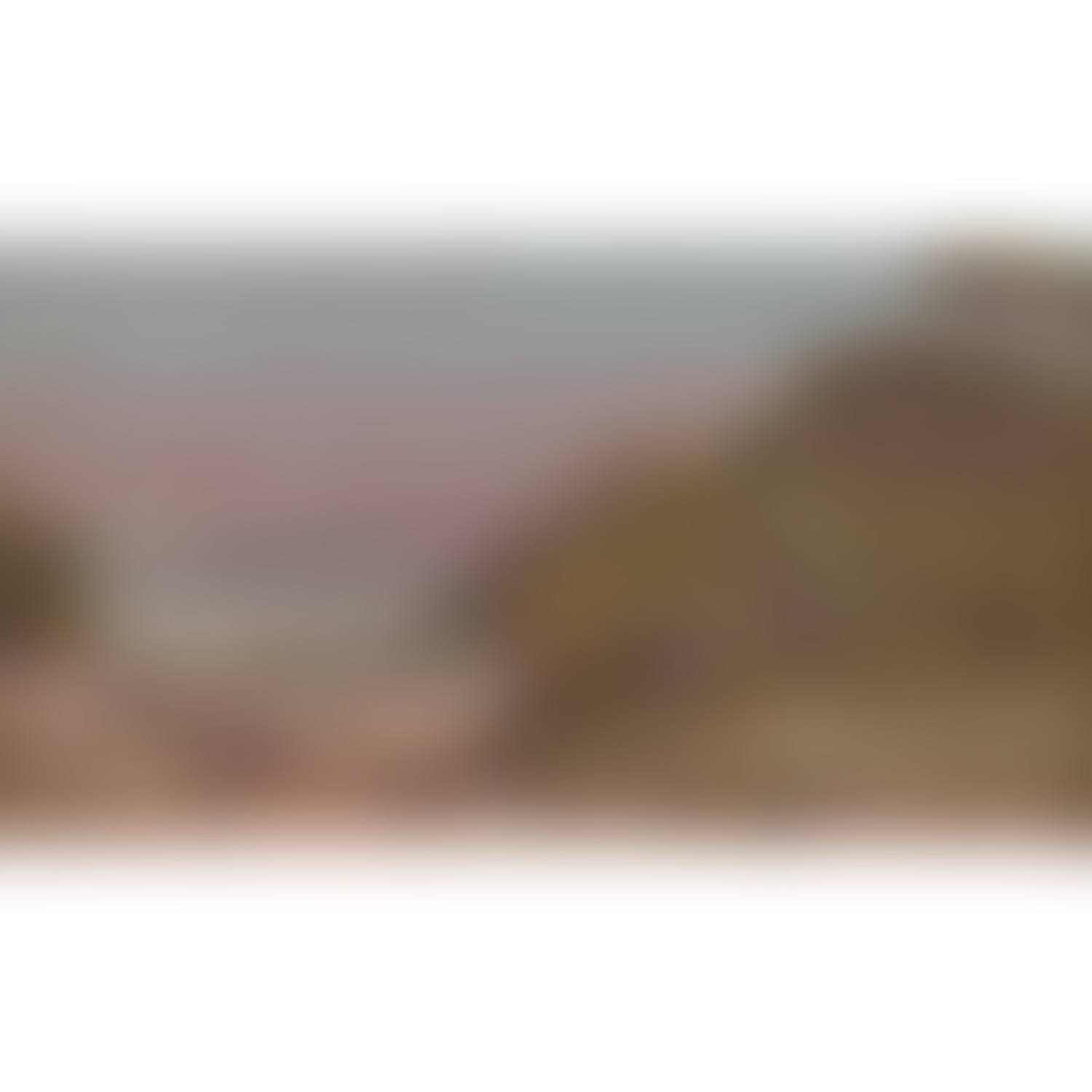 Paysage de la Côte d"Azur (Porquerolles); Landscape of the French Riviera (Porquerolles) (preview)