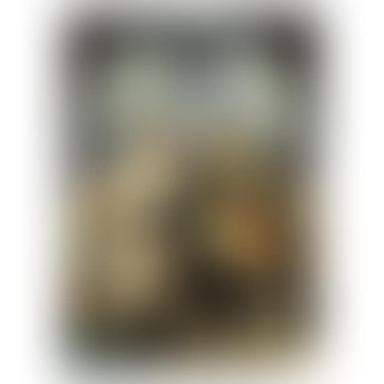 The Helmet (preview)