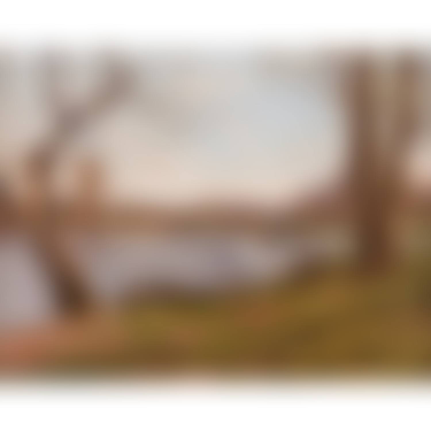 Paysage avec une petite chute d"eau; Landscape with a small waterfall (preview)