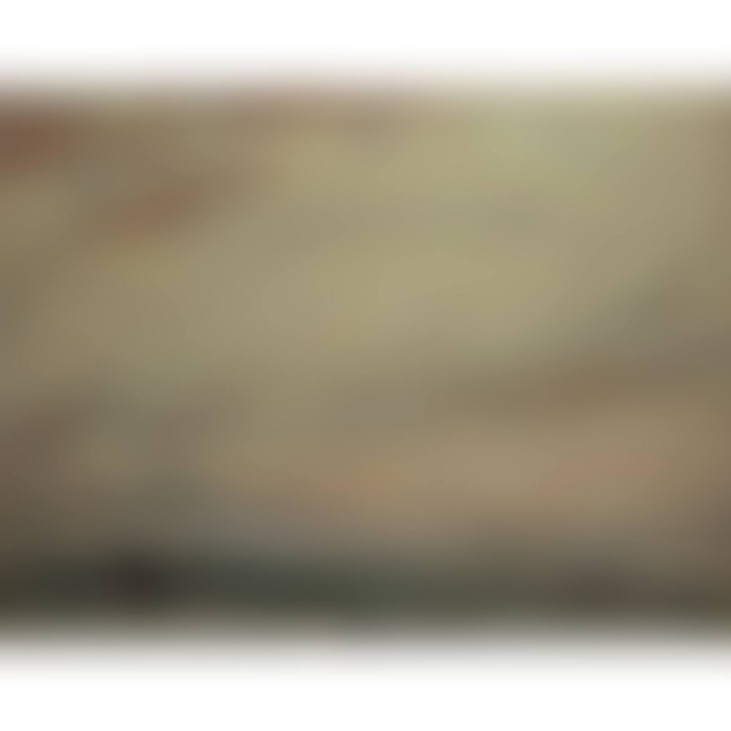 CIEL DE LUNE GERBEROY (preview)