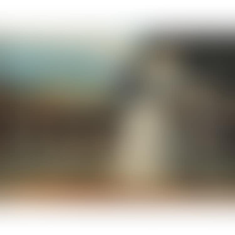 ELEGANTE AU BALCON (preview)