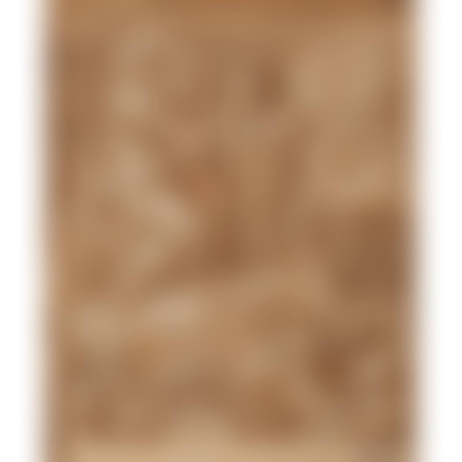 The multiplication of bread (preview)