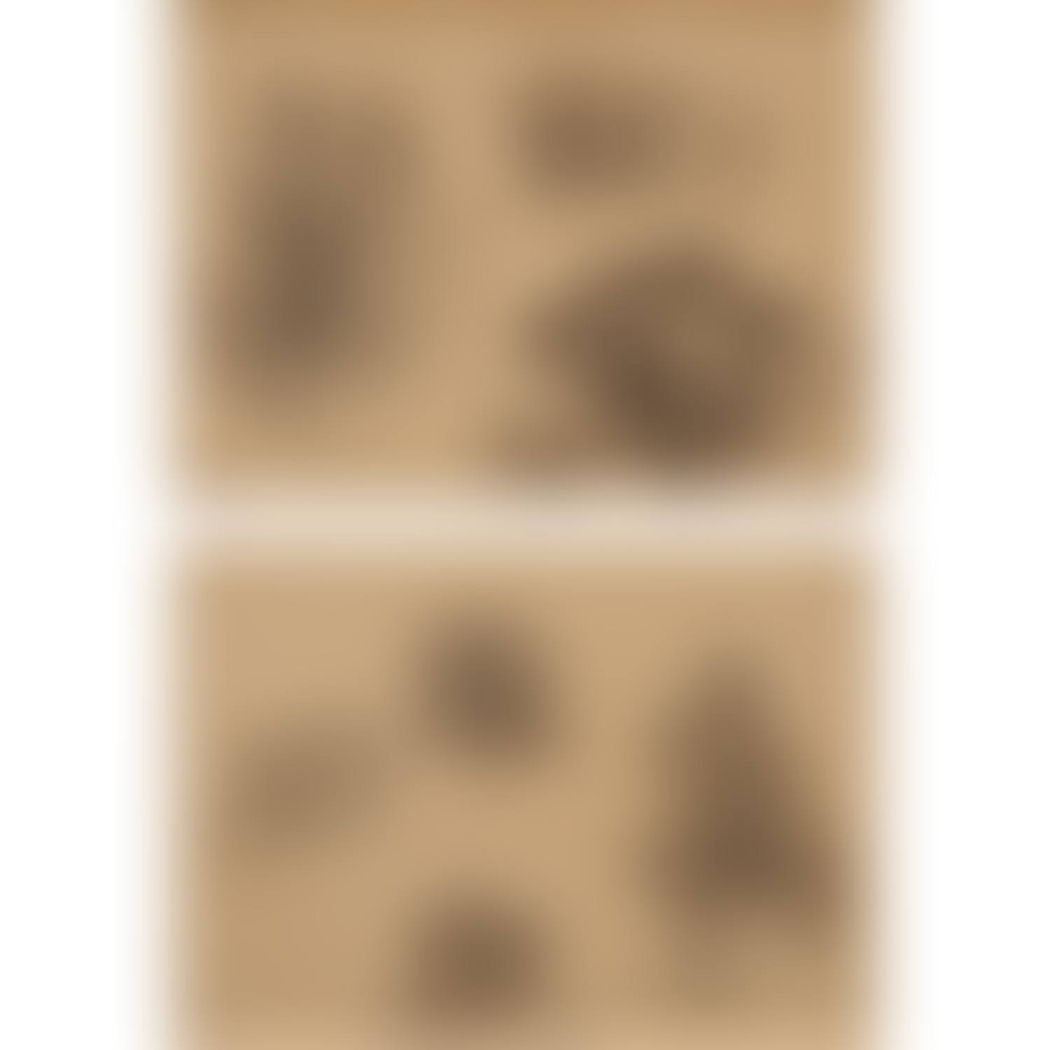 Deux feuilles d"études d"arbres sur le même montage (preview)