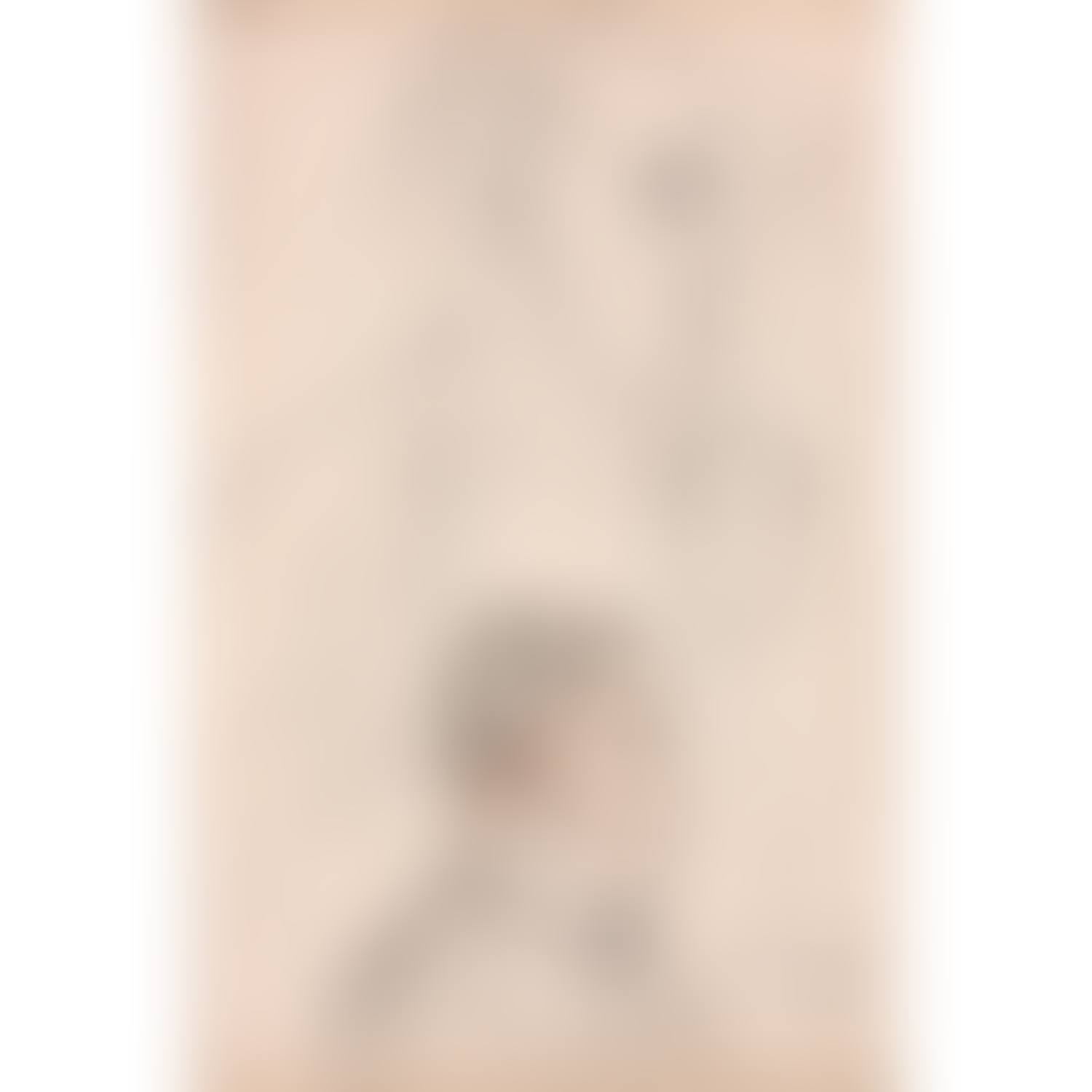 Collection of 10 drawn sheets of portrait-charges of the entourage of the Valpinçon family made in 1862 at the Château du Ménil-Hubert (preview)