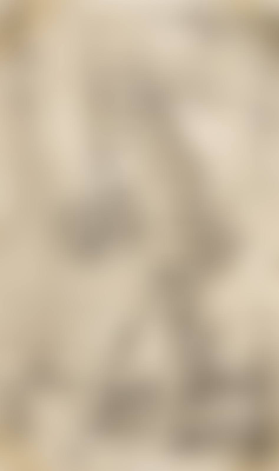 Standard Bearer (preview)