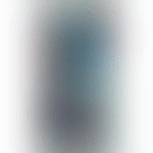 Picabia - His Love and Sincerity Ⅰ (preview)
