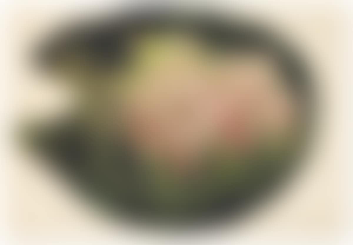 Tropical Foliage Study (preview)