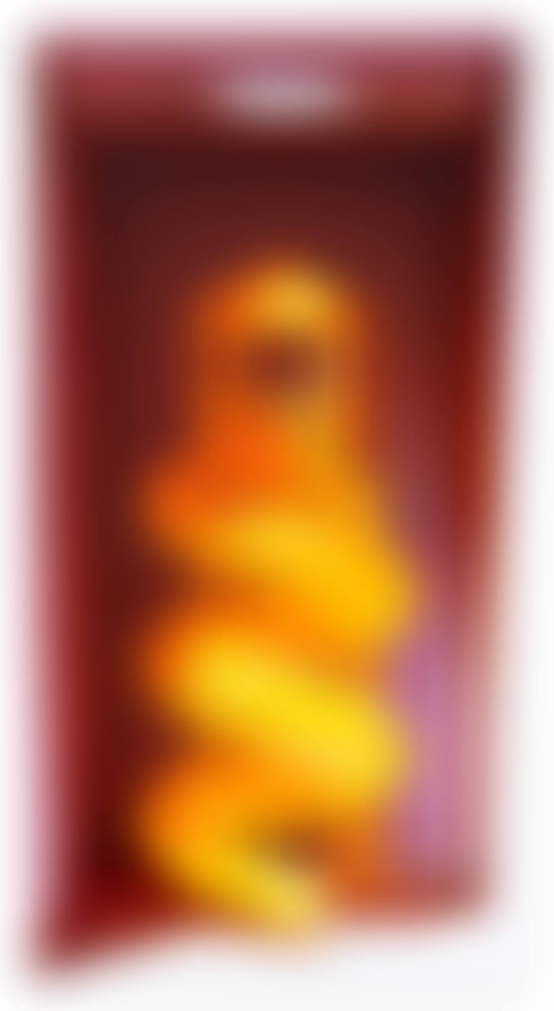 Exploration of the Sun (preview)