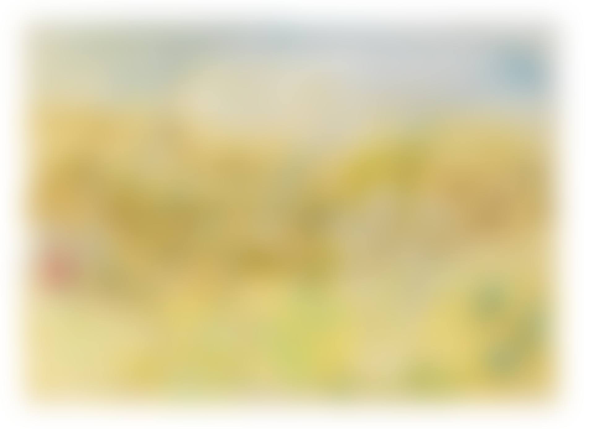 Wild Flowers, Greece (preview)
