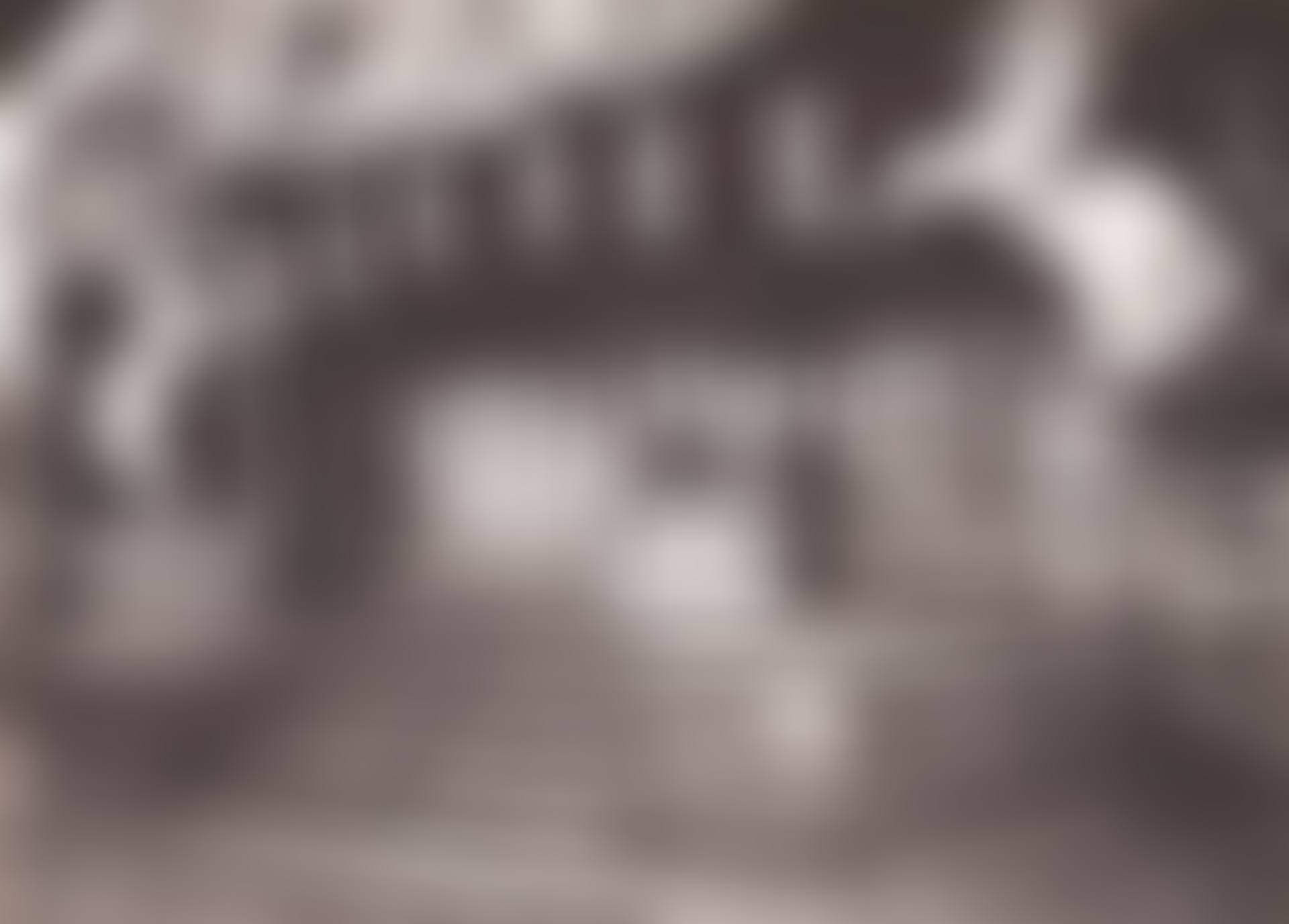 Fête, avenue de Breteuil (preview)