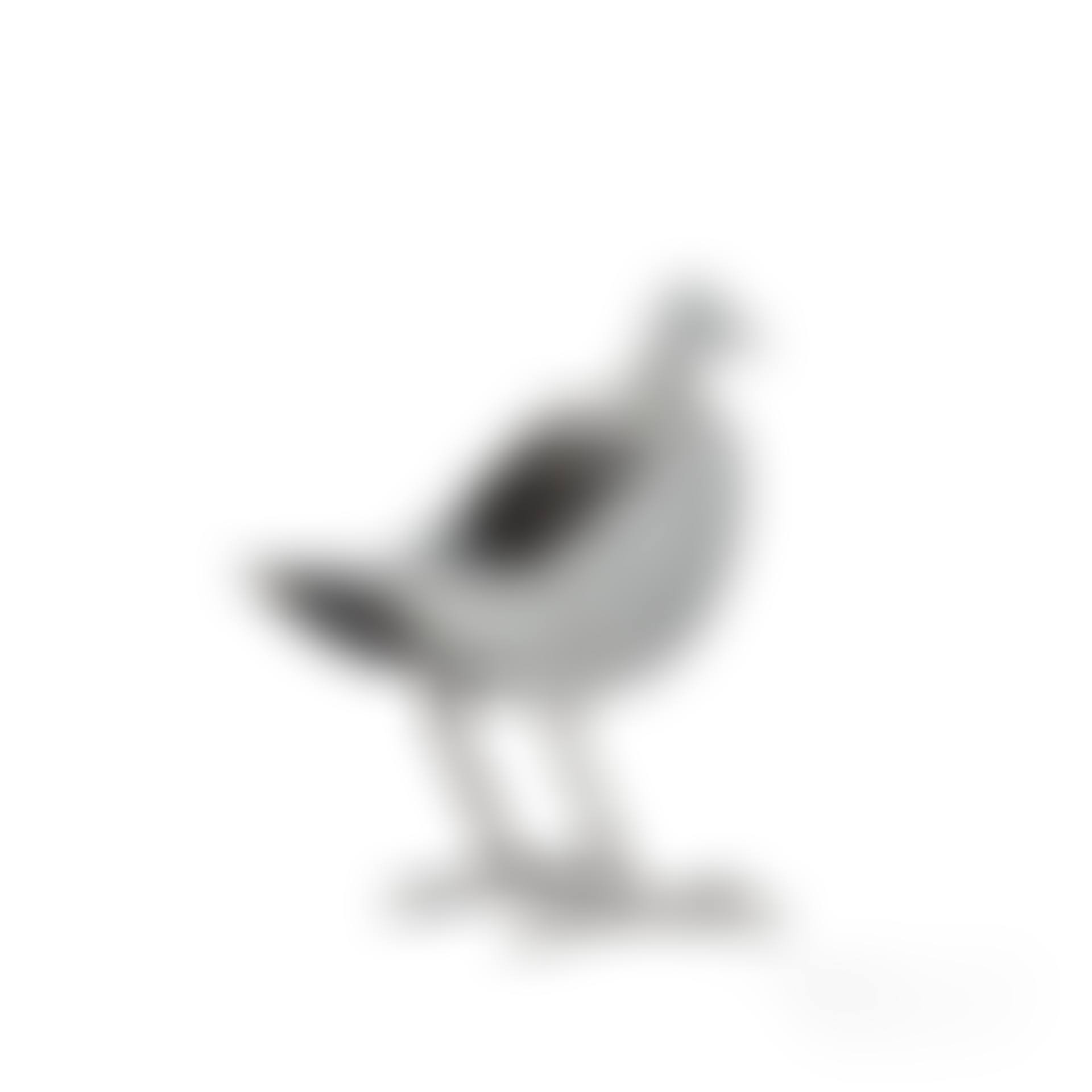 Secrétaire oiseau d'argent (preview)