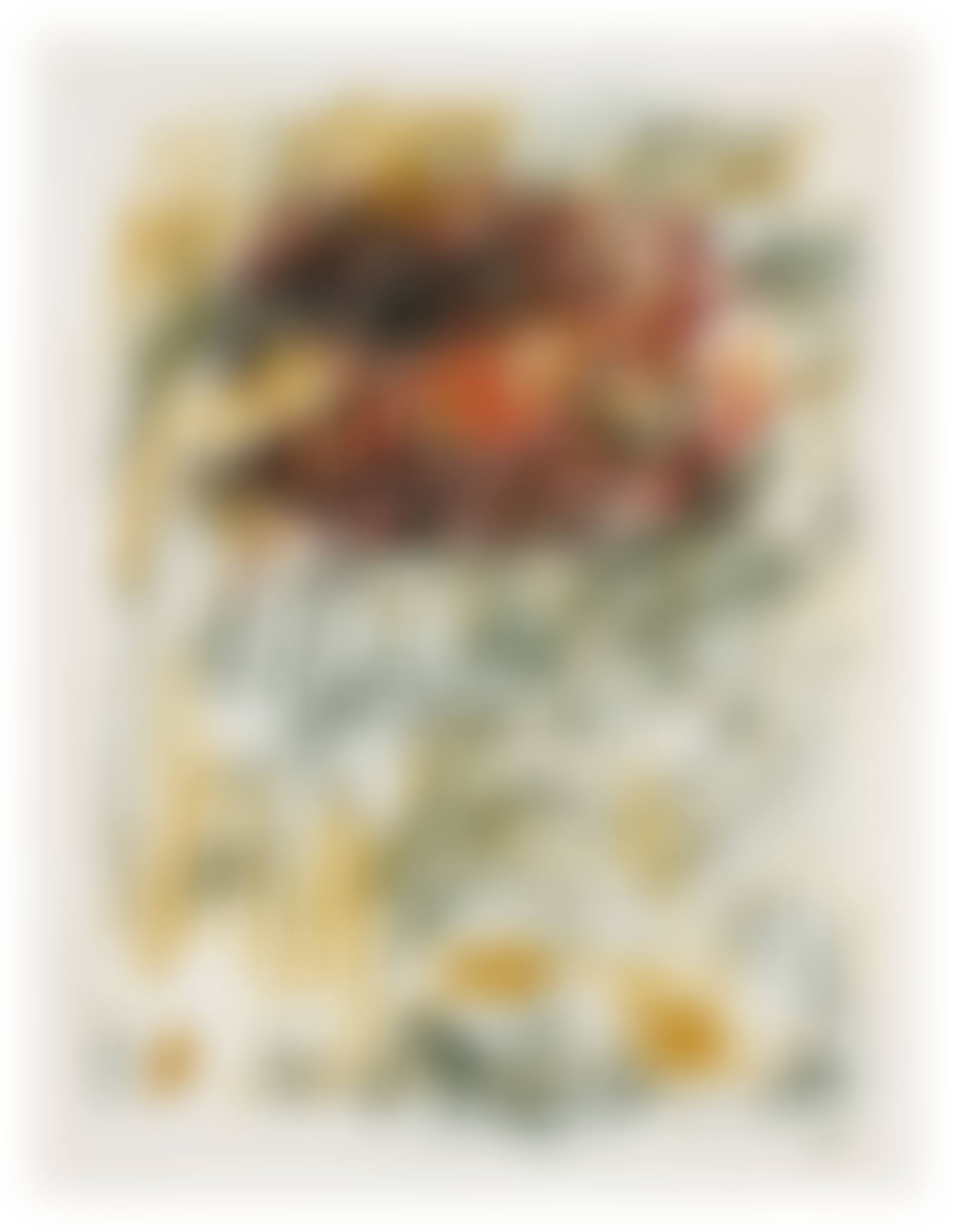 Flower III, from: Bedford Series (preview)