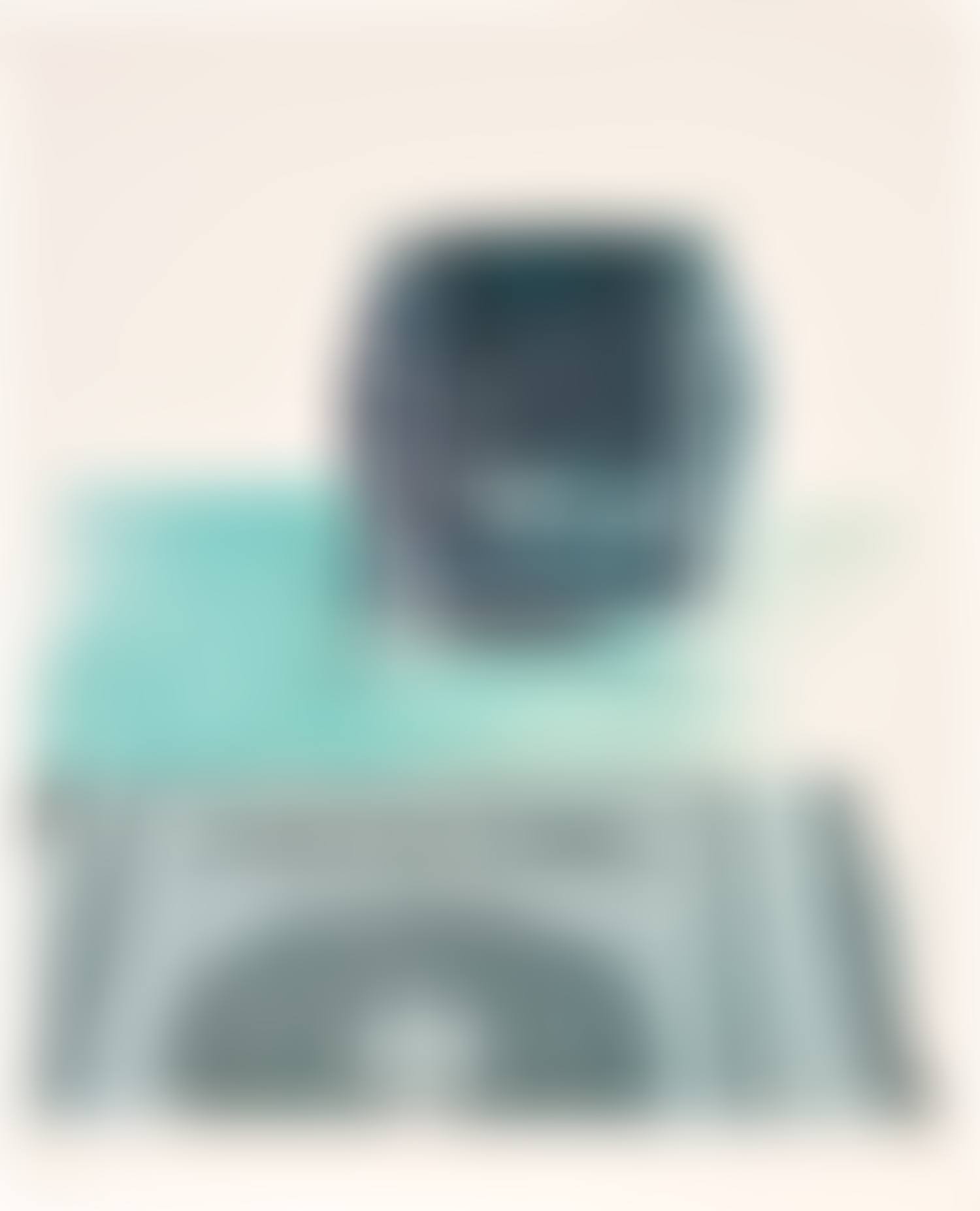 Corbusier Chair and Rug (B. 23) (preview)