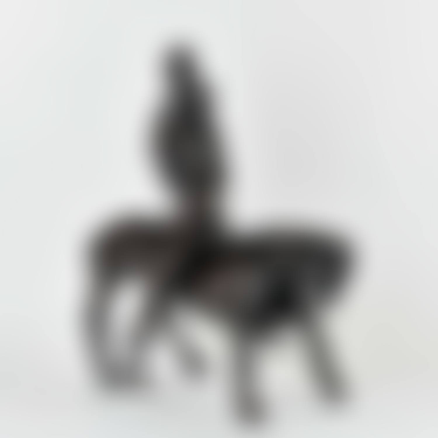 Horse Rider (preview)