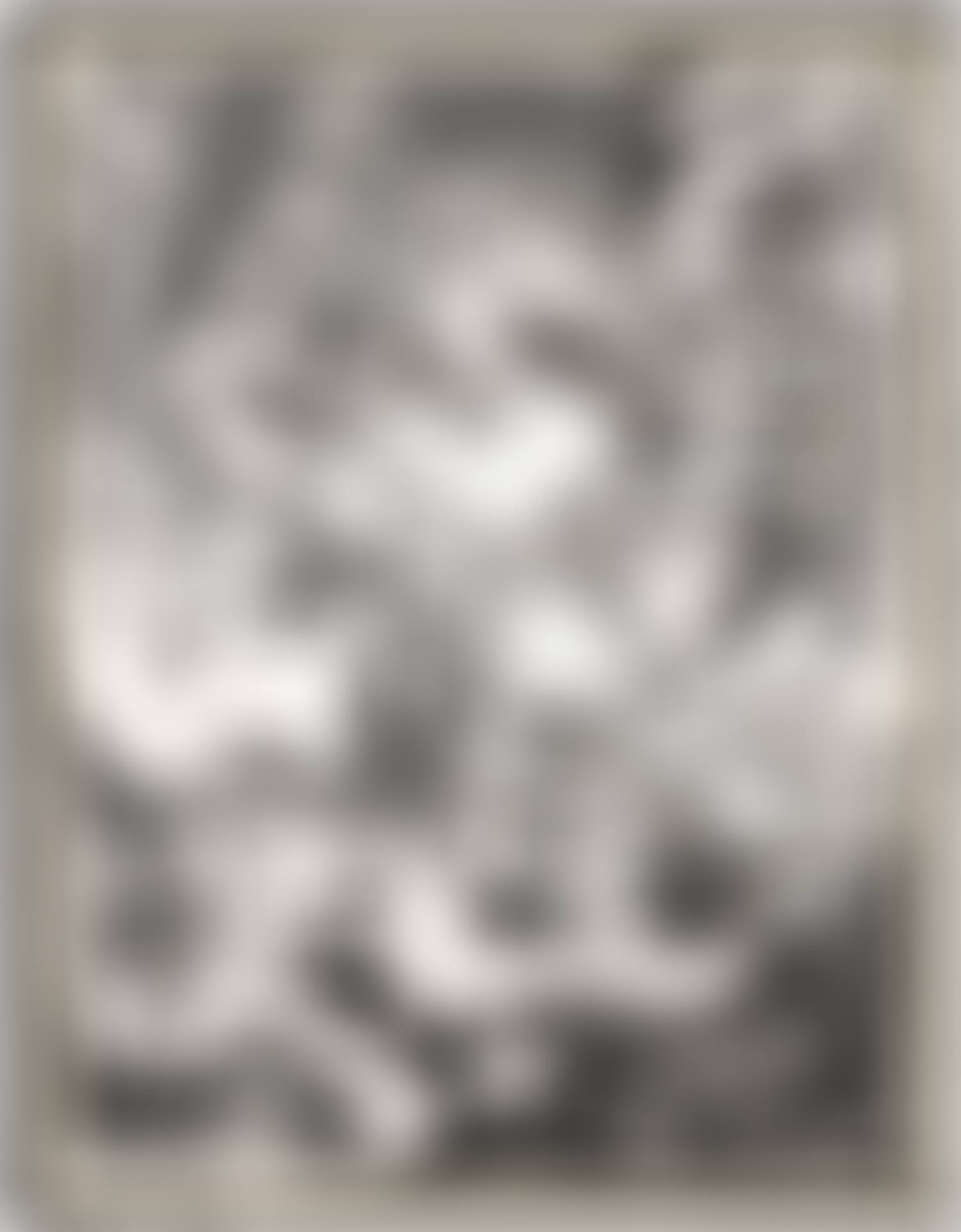 Swan Engraving Framed I, from Swan Engravings (T. 608, A. & K. 167) (preview)
