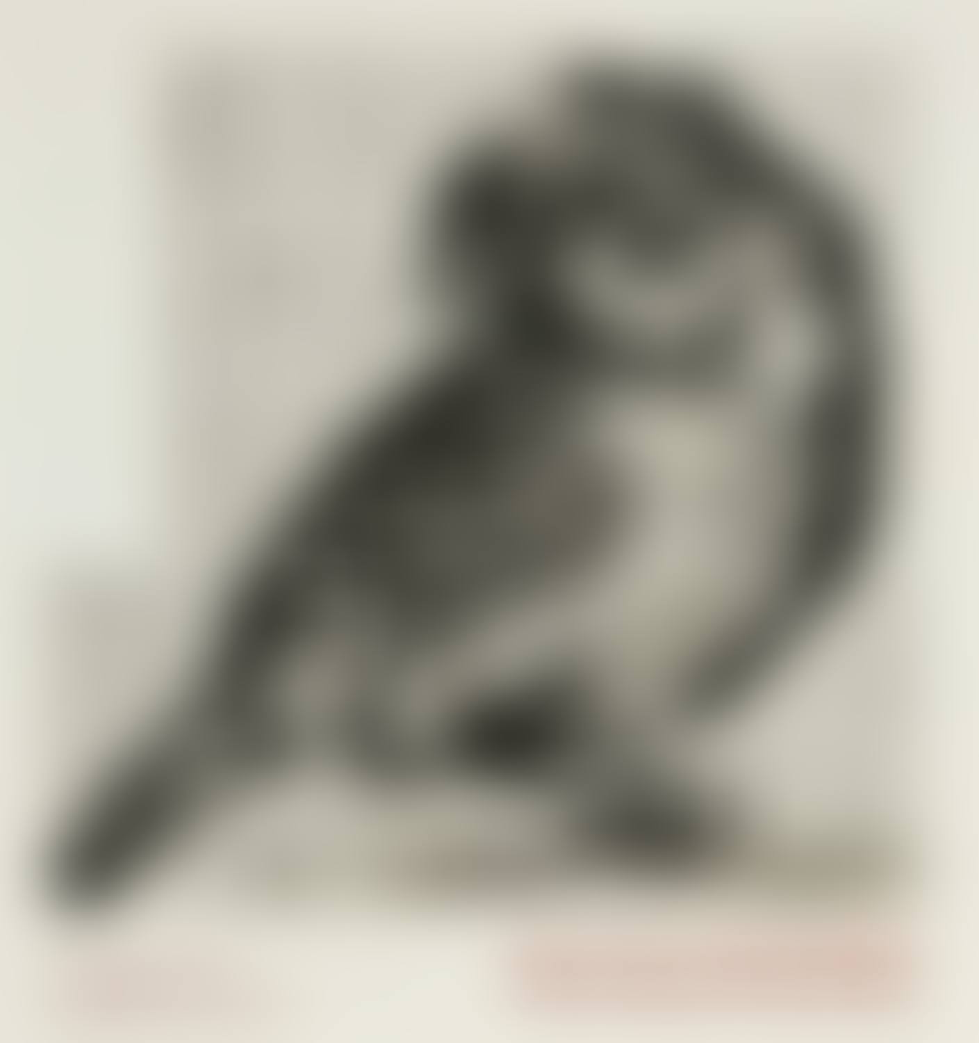 Notes Towards a Model Opera Goodman Gallery exhibition poster (preview)