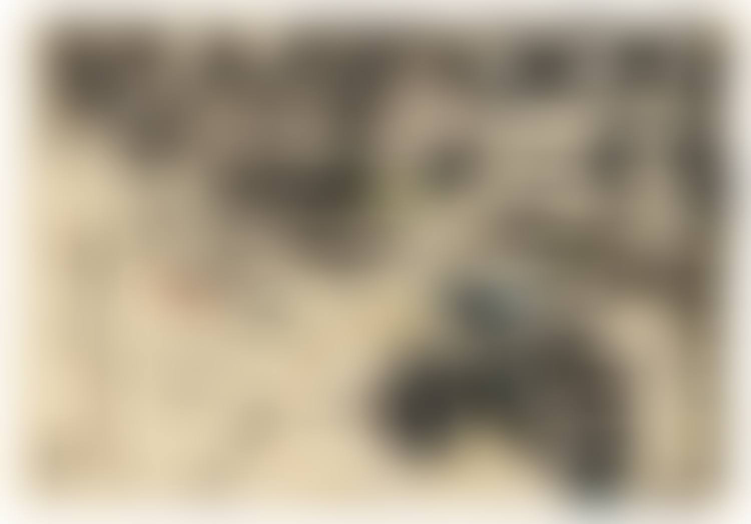 Urbanise (preview)