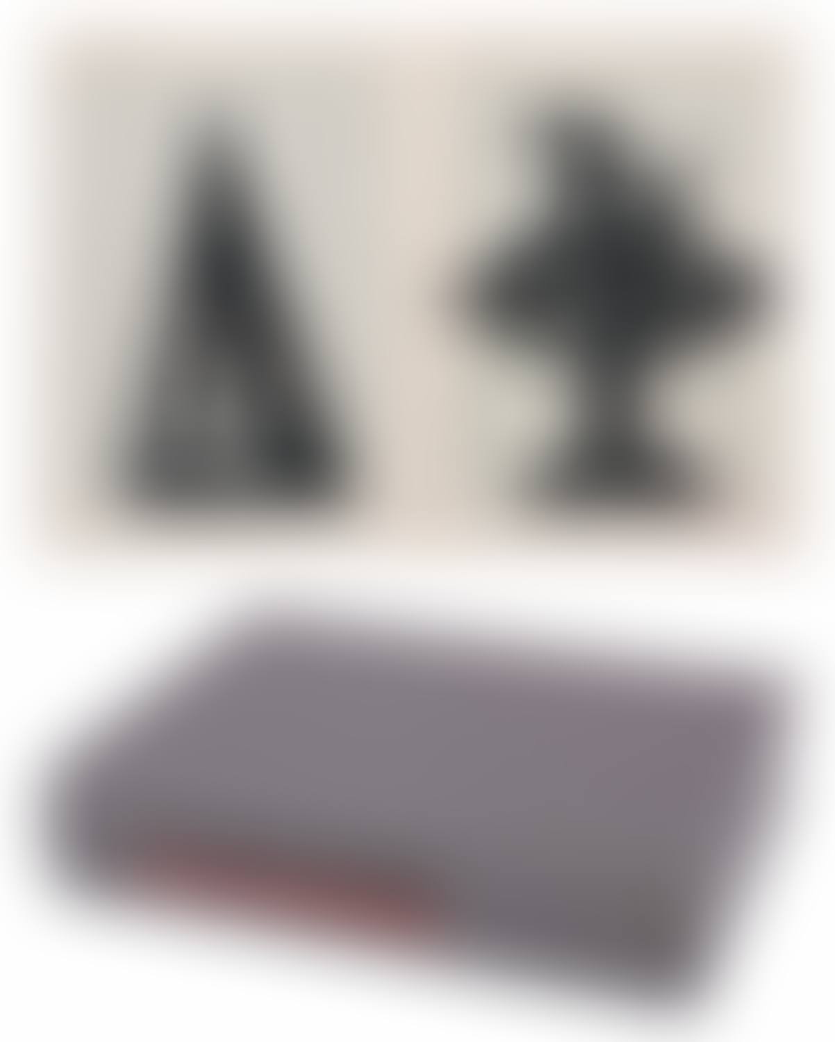 2nd Hand Reading (preview)