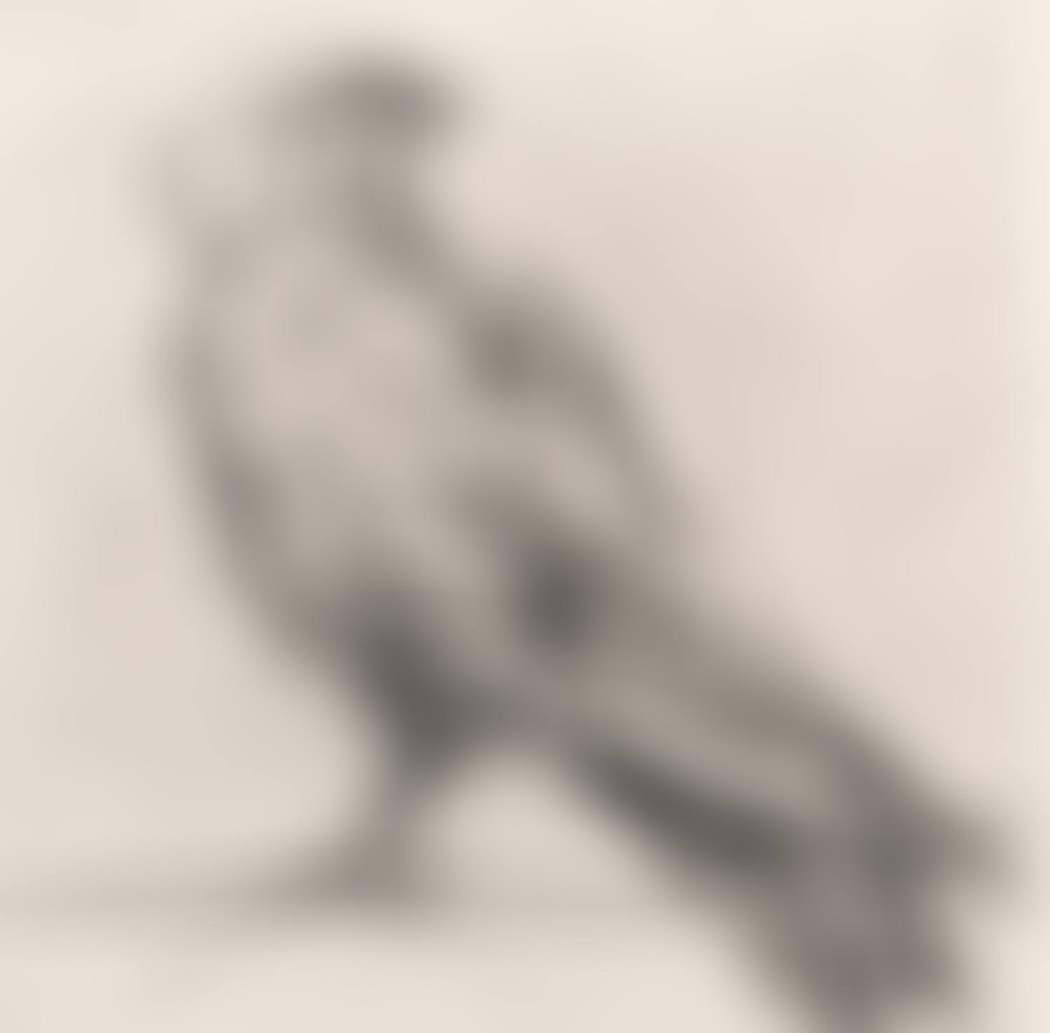 Bird (from The Magic Flute Portfolio) (preview)