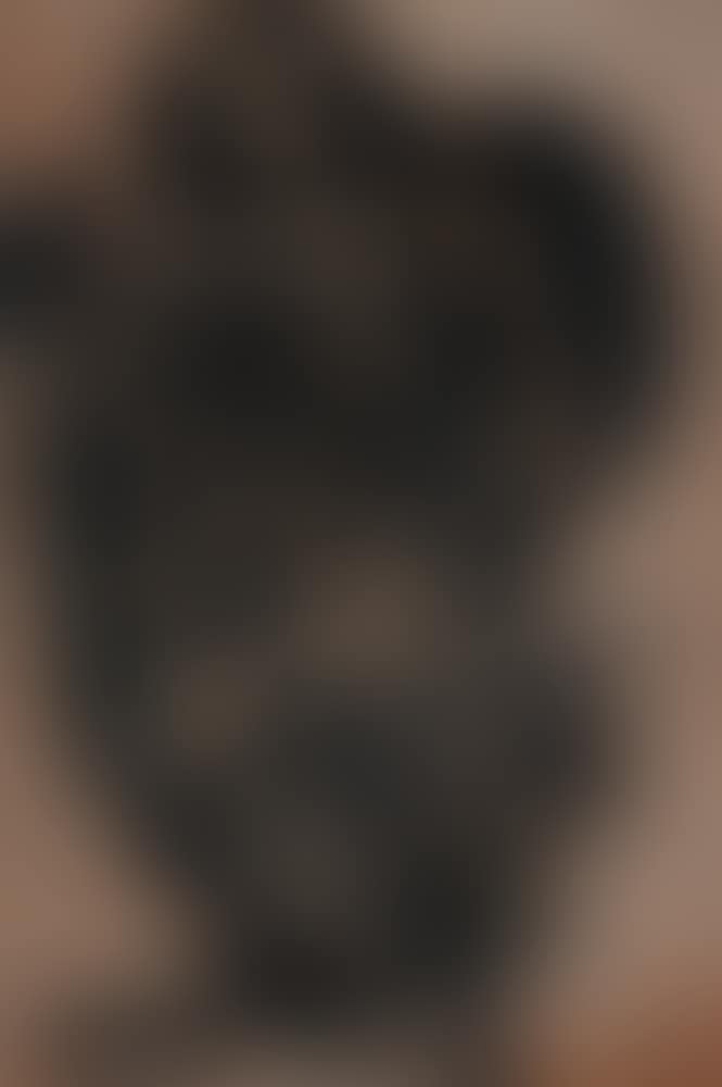 Head (preview)