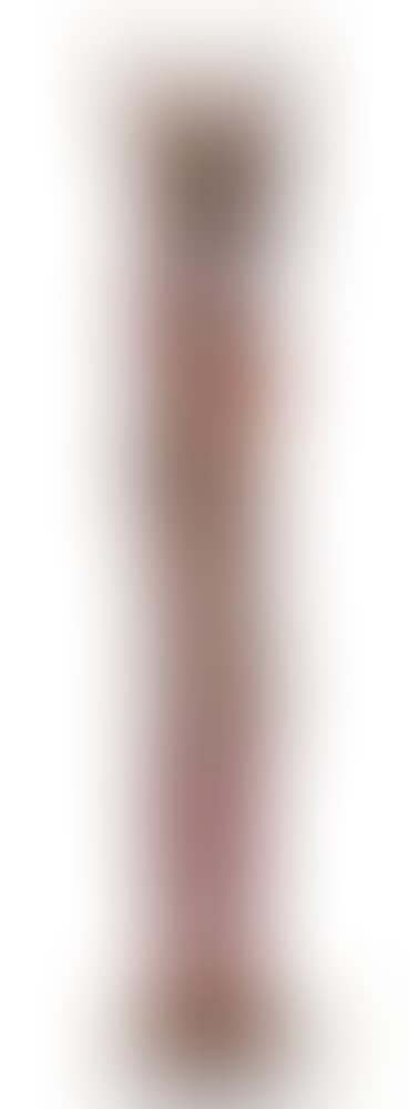 Totem (preview)