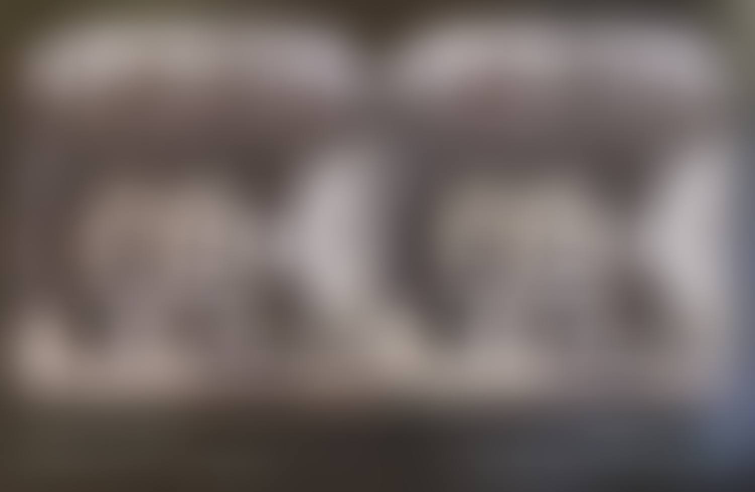 What Will Come, exhibition poster (preview)