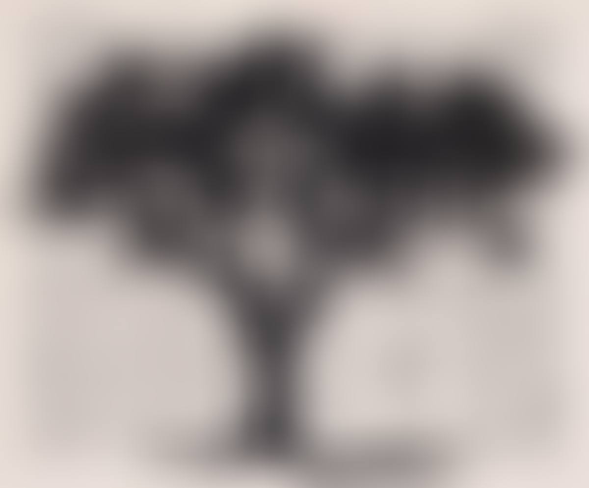 Black Monkey Thorn (preview)