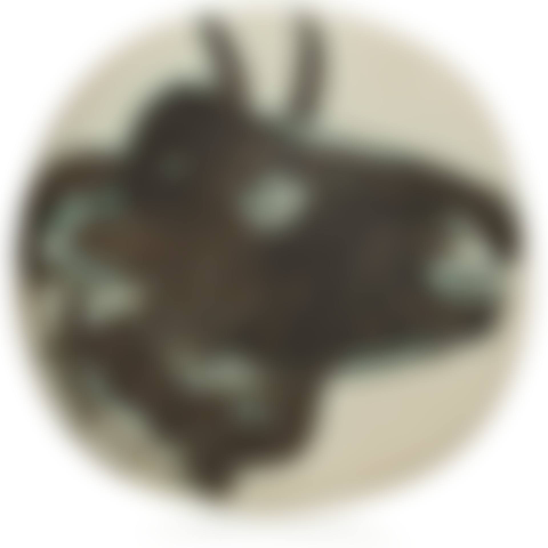 Profil de taureau (A.R. 317) (preview)