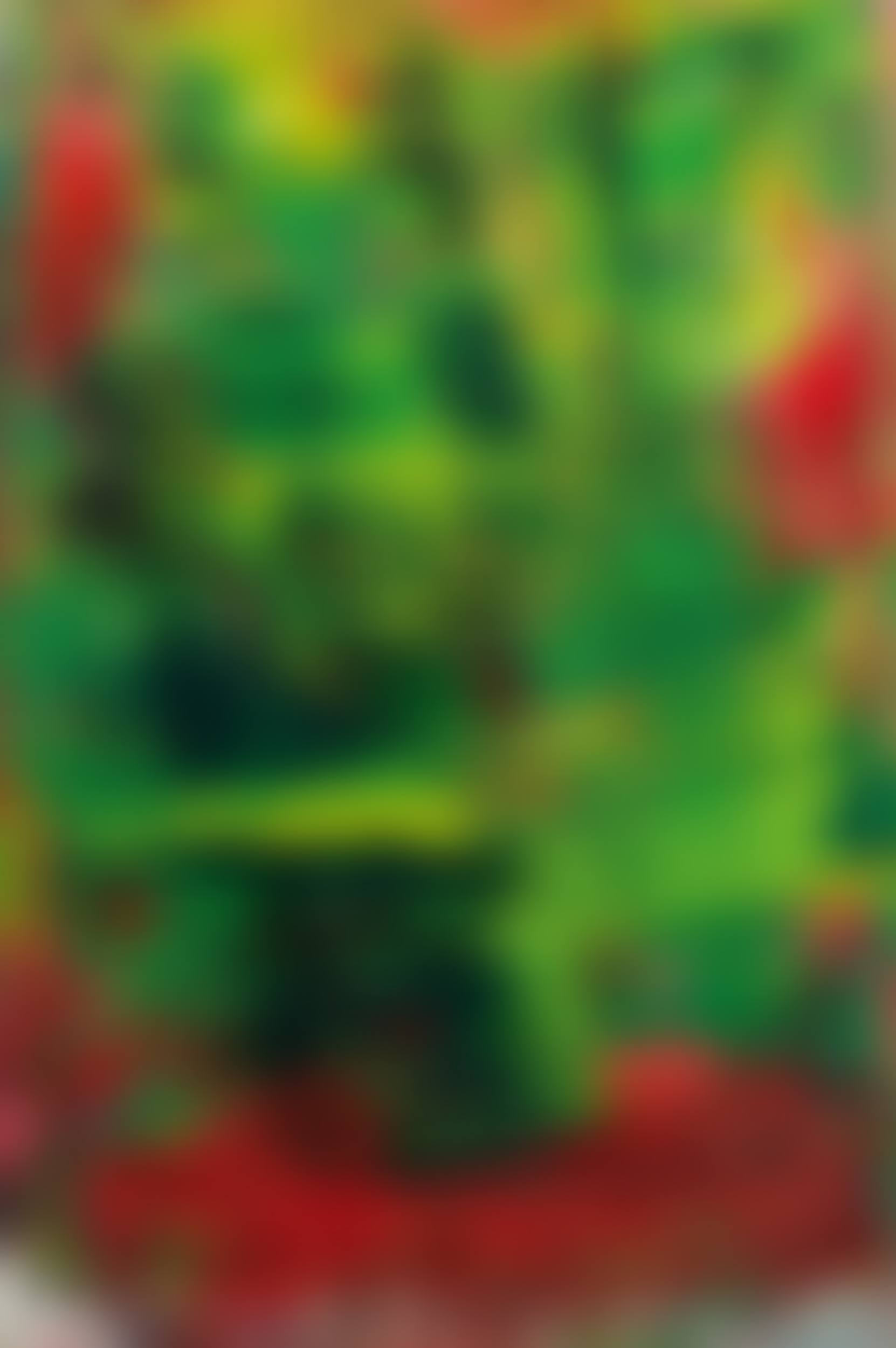 Vienna accumulation (preview)